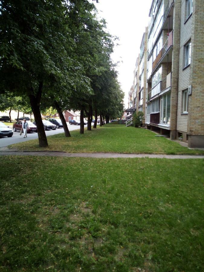 Anykstuko Butas Apartment Anykščiai Bagian luar foto