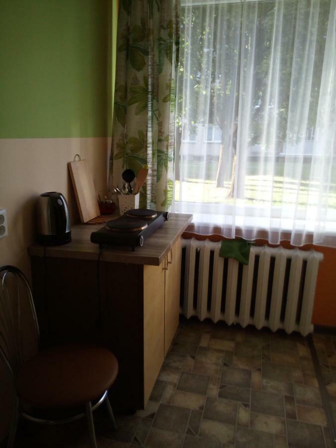 Anykstuko Butas Apartment Anykščiai Bagian luar foto