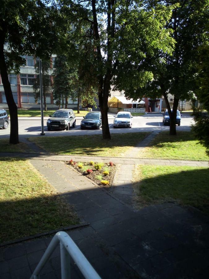 Anykstuko Butas Apartment Anykščiai Bagian luar foto
